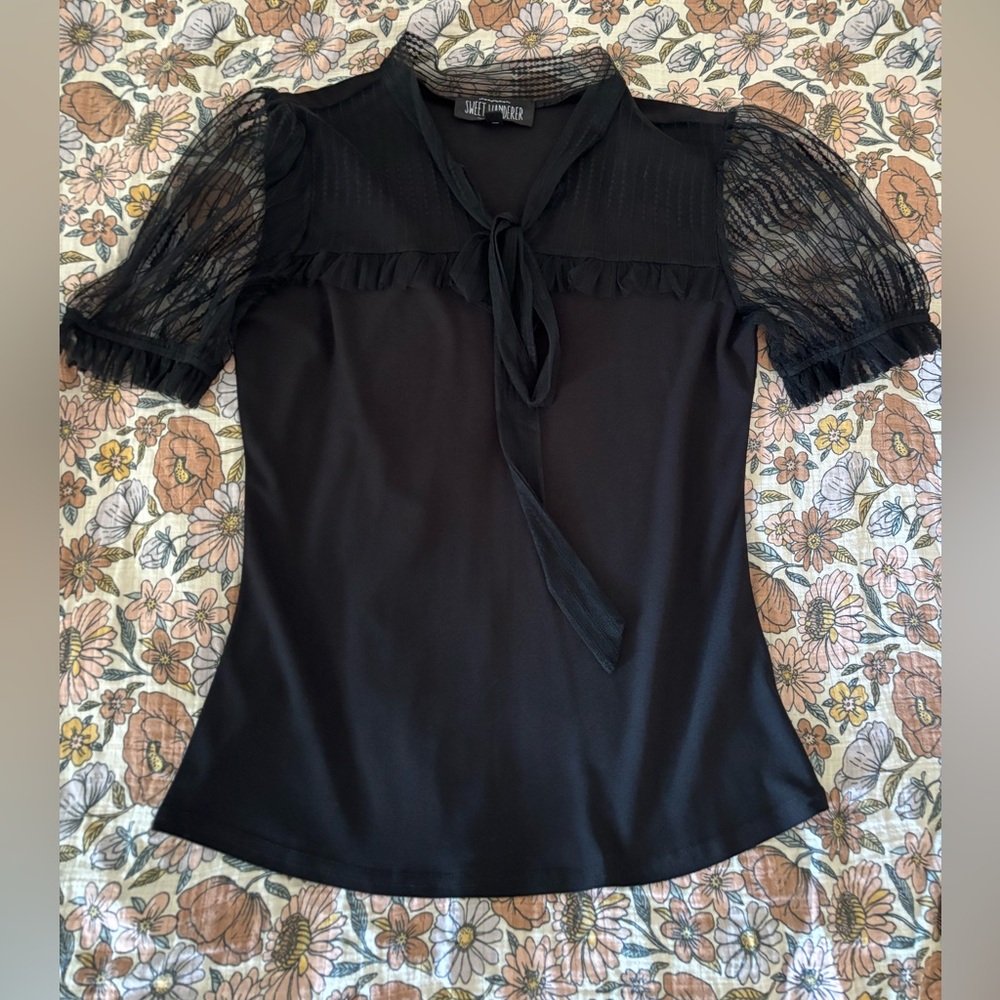 Sweet Wanderer Black Blouse with Sheer Sleeves